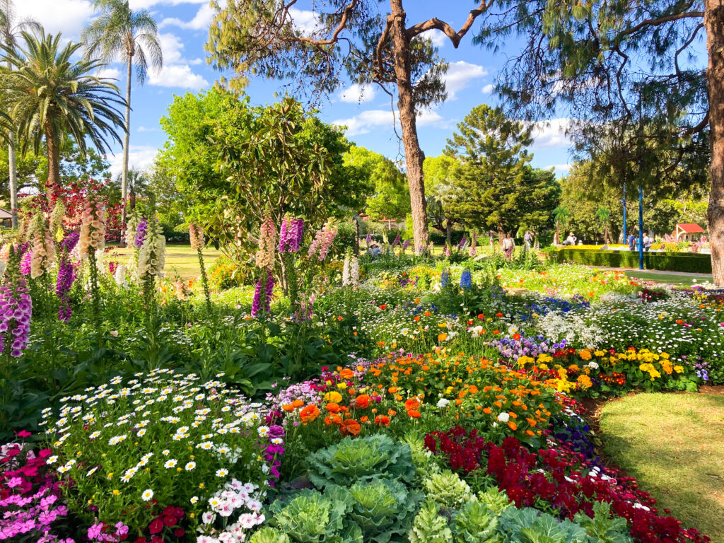 Toowoomba in four days: the best spring itinerary - Global Pawprints